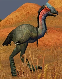 Image of Ornery Plainstrider