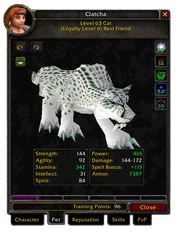 Loyalty shown in the Pet tab