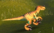 A Highland Fleshstalker