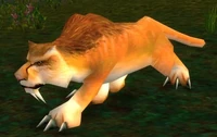 Image of Starving Mountain Lion
