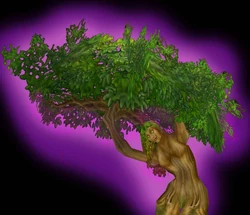 Dryad shrine, a dryad tree spirit?