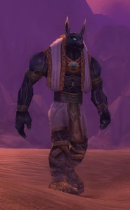 Image of Setis