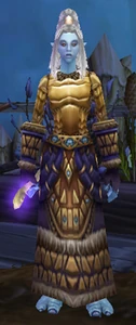 Image of Seer Janidi