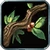 Nature's Reach