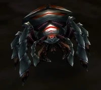 Image of Borer Beetle