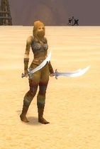 Image of Wastewander Assassin