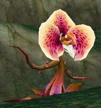 Image of Scarlet Ivy