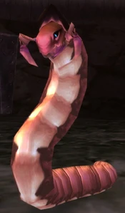 Image of Dredge Worm