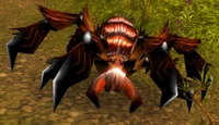 Image of Wood Lurker