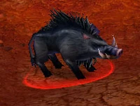 Image of Grunter