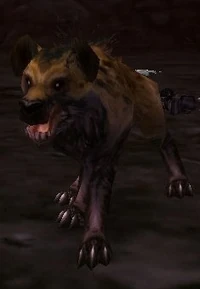 Image of Gnashjaw