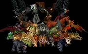 The many Primal Spirits of Azeroth.