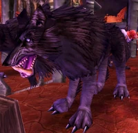 Image of Ripp