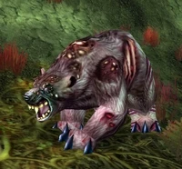 Image of Angerclaw Bear