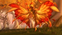 Image of Crazed Dragonhawk