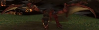 Image of Tamed Proto-Whelp