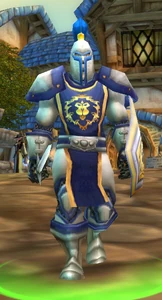 Image of Stormwind City Patrollers