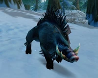 Image of Large Crag Boar