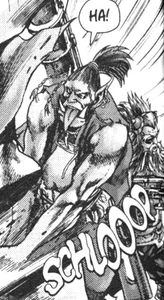 Image of Voll