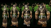Druids of all races wearing Cenarion Raiment