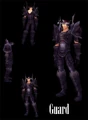 Blood Elf in Guard