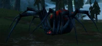 Image of Riven Widow