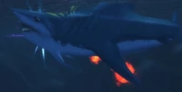 Image of Maws