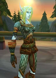 No, I AM a High Elf ! I really am !  Look at me!  I'm not wearing red!