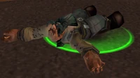 Image of Dorius Stonetender