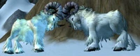 Image of Maddened Frosthorn
