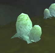Webwood Egg