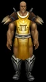 Arathor Battle Tabard