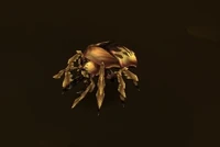 Image of Gold Beetle