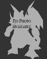 Image of Timmanrug