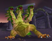 Image of Hetaera