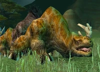 Image of Barrens Kodo