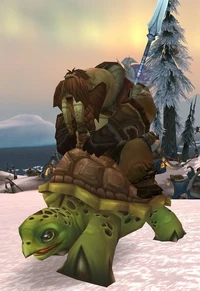 Image of Kamagua Turtle Rider