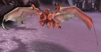 Image of Zul'Drak Bat
