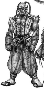 Half-orc in "Horde Races" by Chris Metzen (RPG).