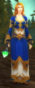 Image of Dalaran Sorceress