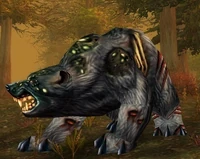 Image of Diseased Black Bear