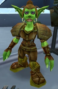 Image of Leather Armor Vendor