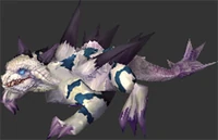 Image of Blackwind Warp Chaser