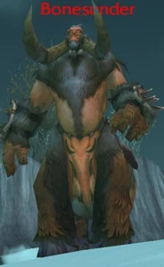 Image of Bonesunder