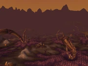 Hive'Regal