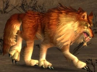 Image of Ember Worg