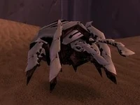 Image of Spitting Scarab