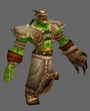 An Orcish Shaman.