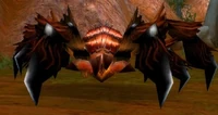 Image of Greater Tarantula