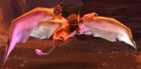 Image of Highperch Consort
